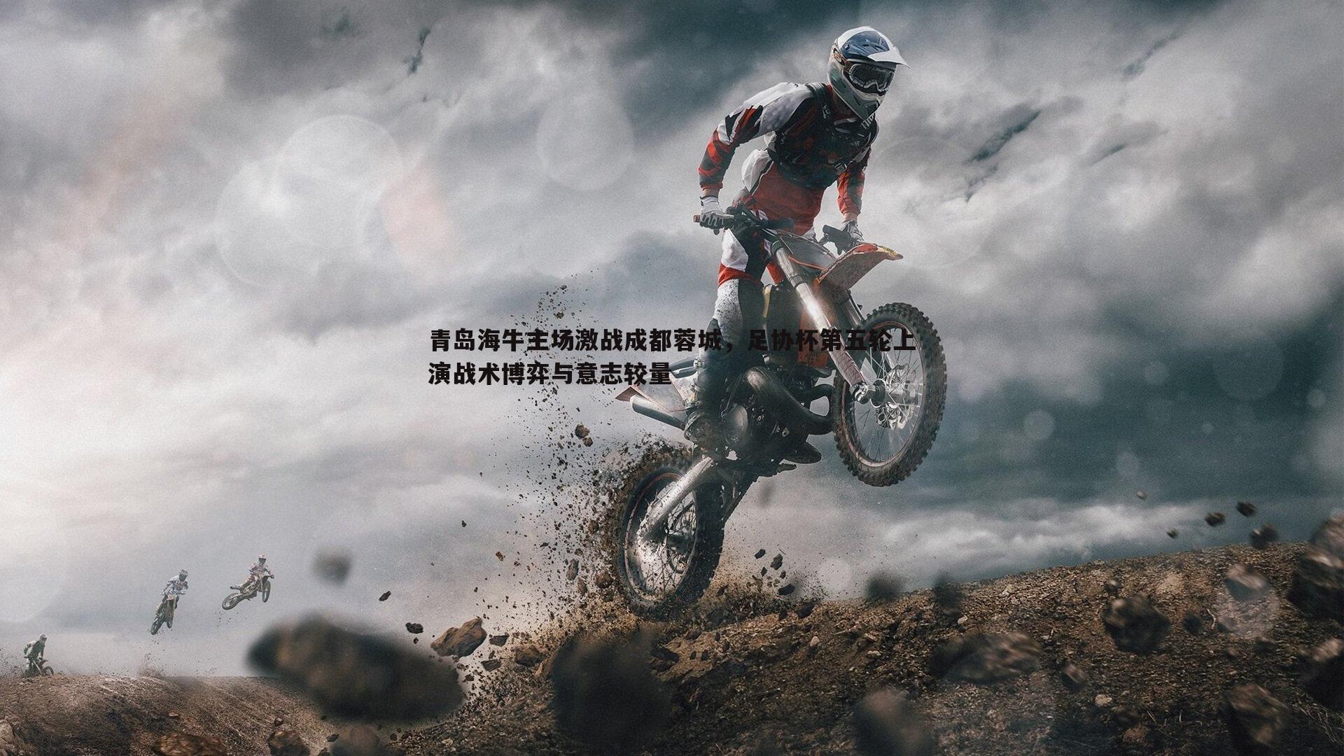 青岛海牛主场激战成都蓉城，足协杯第五轮上演战术博弈与意志较量